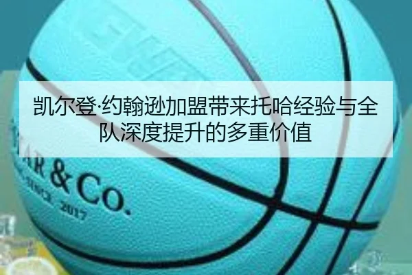 凯尔登·约翰逊加盟带来托哈经验与全队深度提升的多重价值
